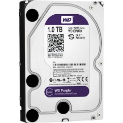 Hard Disk WD 1 TB (modello...